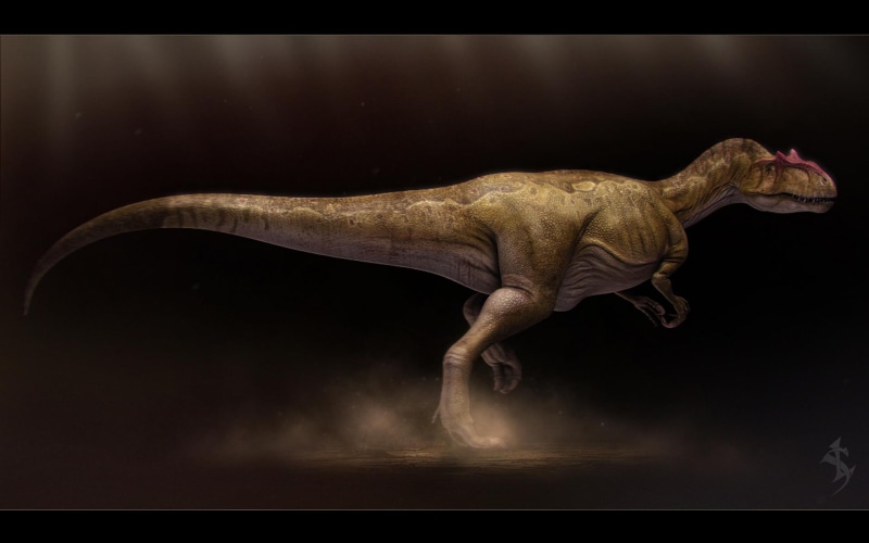 picture, nice, fragilis, allosaurus, monster, 1080P, dark art, horror, tyrannosaurus rex, predator, black, color, konstantinov, darkness, vlad