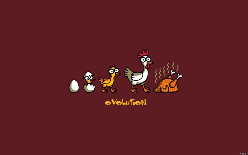 communication, text, no people, western script, chickens, minimalism, animal, representation, music, illustration, arts culture and entertainment, colored background