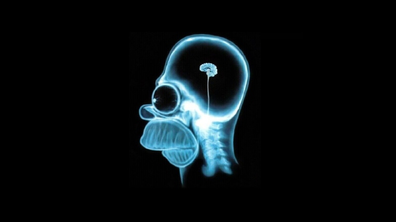 healthcare and medicine, indoors, black, xray, simpsons, no people, futuristic, The Simpsons, cyan, full length, 1080P, illuminated, black background
