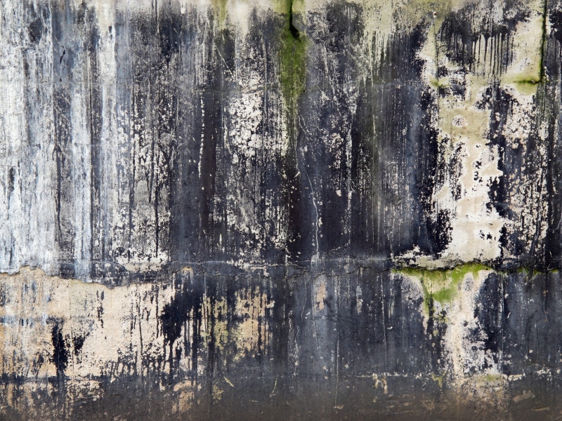reflection, white, old, Background, textured effect, Texture, dirty, damaged, Structure, spotty, wall - building feature, artwork, weathered, Grunge, gray