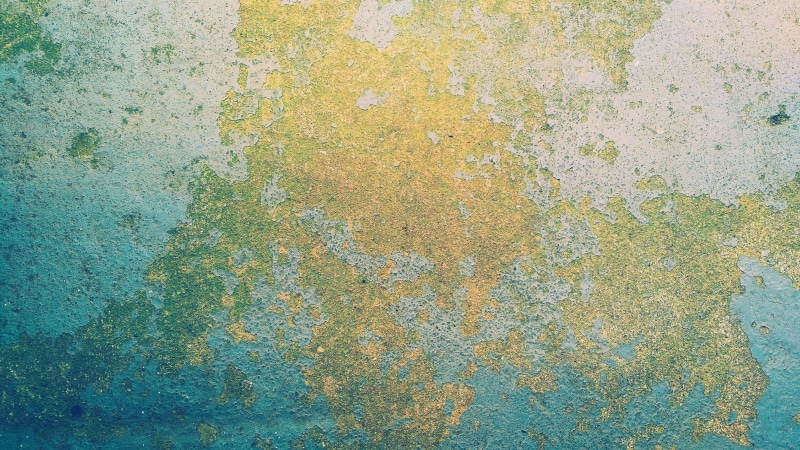 architecture, scratched, background, lichen, wall - building feature, cracked, green, built structure, gray, green color, full frame, pastel colored