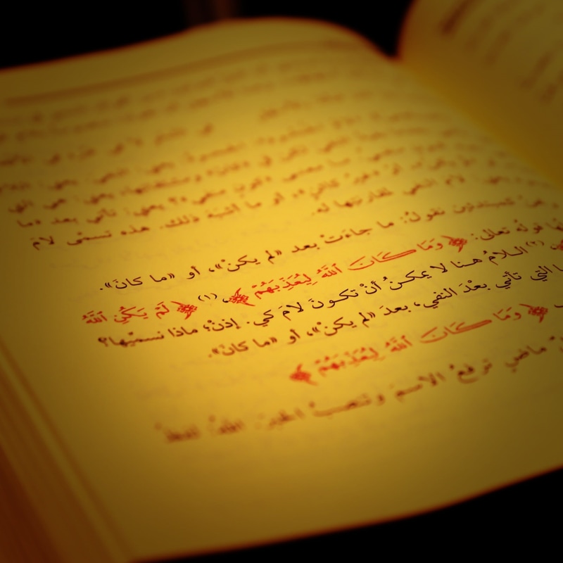 message, Teacher, 1080P, selective focus, education concept, page, text, open, full frame, communication, publication, book, ink, class, learning, study
