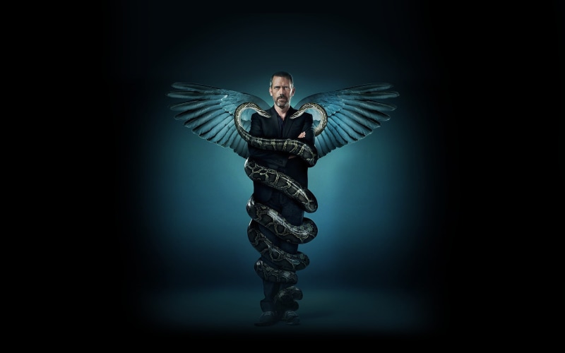 indoors, black background, spirituality, front view, animal body part, young adult, snake, studio shot, animal wing, portrait, one person, House, M.D.