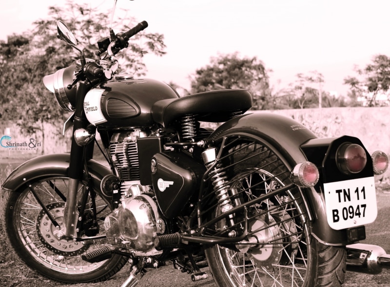 stationary, retro styled, black and white, close-up, tree, road, metal, bikes, motorcycle, outdoors, sky, mode of transportation, black, royal, silver colored