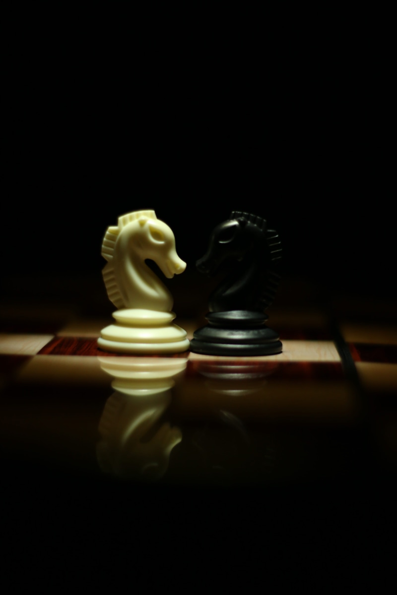 chess piece, checkerboard, decision, no people, black, arts culture and entertainment, Victory, white, two, strategy, knight, studio shot, representation