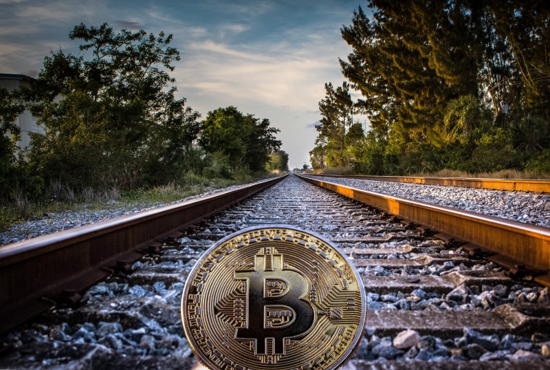 plant, business, financial, concept, nature, railroad track, direction, cryptography, track, tree, coin, rail transportation, cash, finance, investment