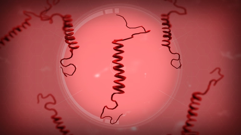 bug, plague, virus, plague inc, evolved, horror, strategy, 1080P, simulation