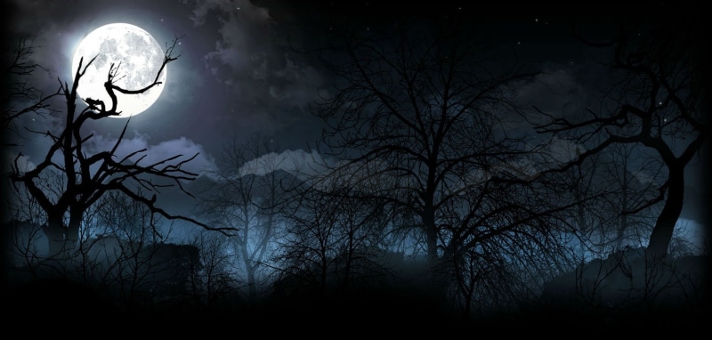 Dark, spooky, Fighting, horror, bitefight, night, monster, mmo, 720P, 1bfight, vampire, online, halloween, Werewolf, Strategy, Moon, action, fantasy, forest