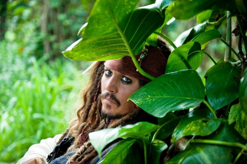 leaves, 1080P, outdoors, leaf, growth, Johnny Depp, young women, young adult, beautiful woman, hairstyle, adult, real people, plant part, one person, plant