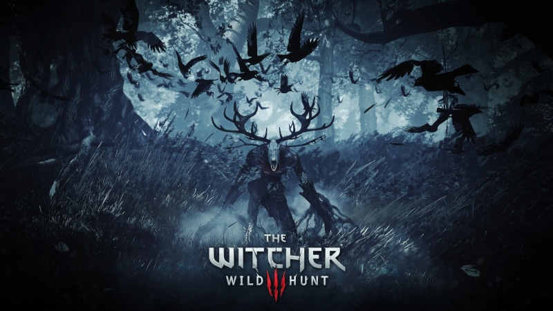western script, no people, indoors, sign, nature, The Witcher, wild, wall - building feature, hd, day, creativity, witcher, representation, architecture