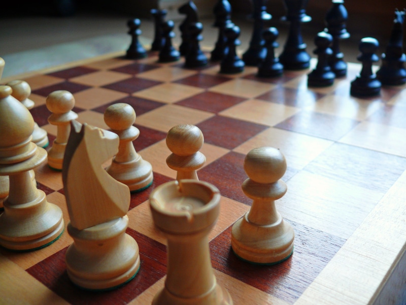 king, chess board, chess game, pawn - chess piece, competition, bauer, checkmated, game of kings, white, king - chess piece, horse, leisure, wood, leisure activity