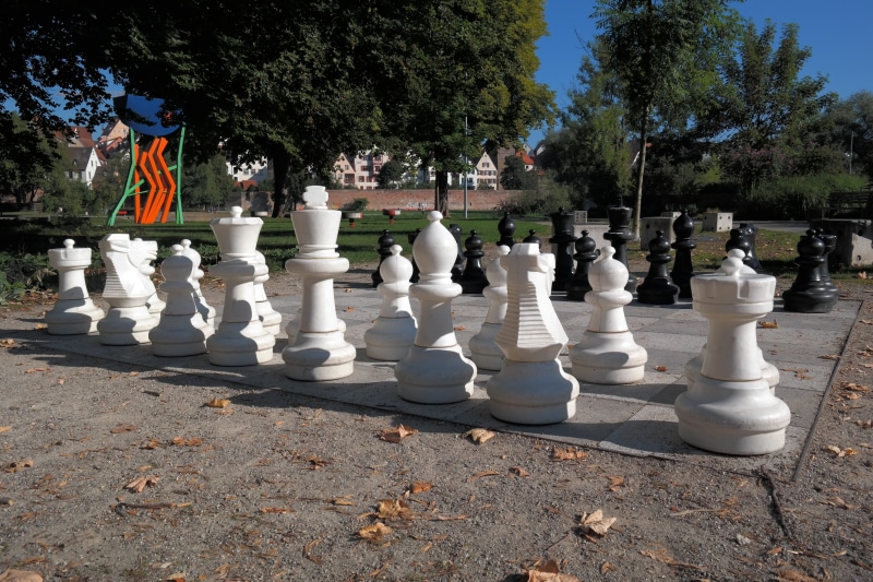lady, chess game, farmers, game, leisure games, arrangement, sunlight, land, chess board, white color, park - man made space, springer, relaxation, board