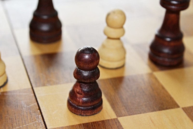 chess pieces, leisure games, runners, wood - material, no people, Wood, 2K, relaxation, lose, figures, chess, focus on foreground, knight - chess piece