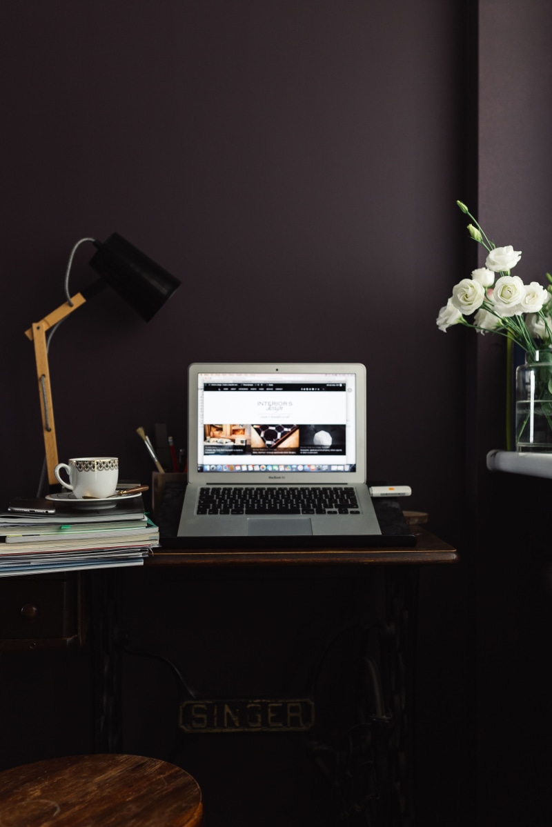 no People, plant, computer, Contemporary, still life, 5K, working, freshness, business, table, wireless technology, idea, communication, desktop PC, laptop