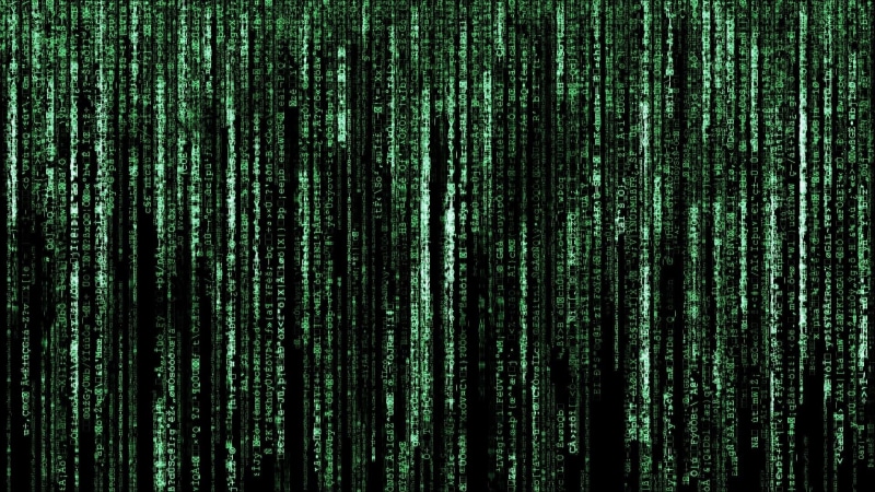 pattern, green color, no people, woodland, darkness, full frame, technology, coniferous tree, binary code, wireless technology, data, forest, pine woodland