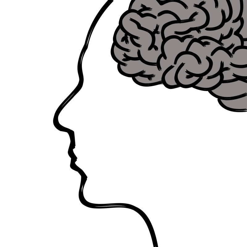studio shot, metal, doodle, representation, music, drawn face, thoughts, head, white color, gray matter, white background, illustration, connection, psychology