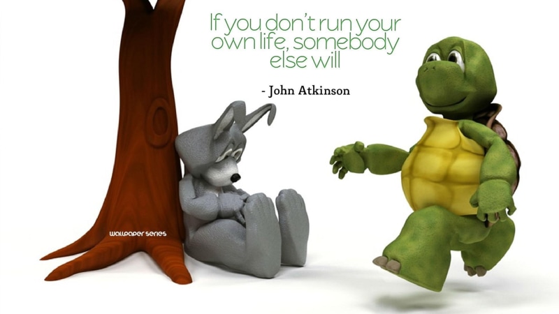 success, turtle, 1920x1080, quotes, run quotes, hd, 1080P, success quotes, bunny, run