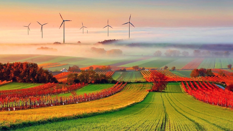 agriculture, misty, farm, fog, renewable energy, sky, sun, nature, sustainable resources, environmental conservation, scenics - nature, landscape, turine