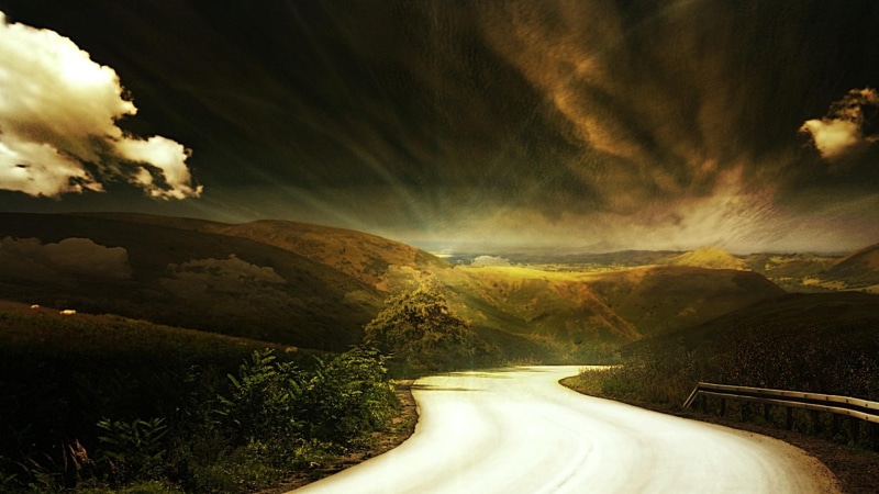 fascinating, success, animals, 1080P, cool, beauty, road