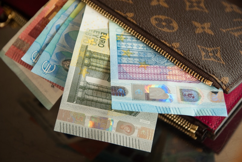investment, wealth, euros, paying, business, studio shot, cash, louis, high angle view, wallet, bank notes, note, vuitton, paper currency, paper money