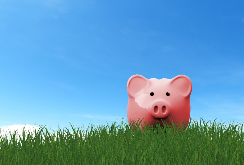 retirement, piggy bank, fees, taxes, isolated, bonds, spent, potential, space, see, plant, shares, paying, loan, meadow, finances, planning, money, student