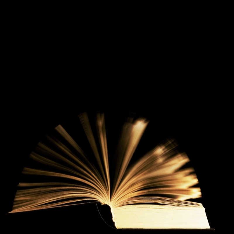 read, literature, story, publication, paper, indoors, information, illuminated, move, concept, library, studio shot, open, learn, study, table, wind, studying