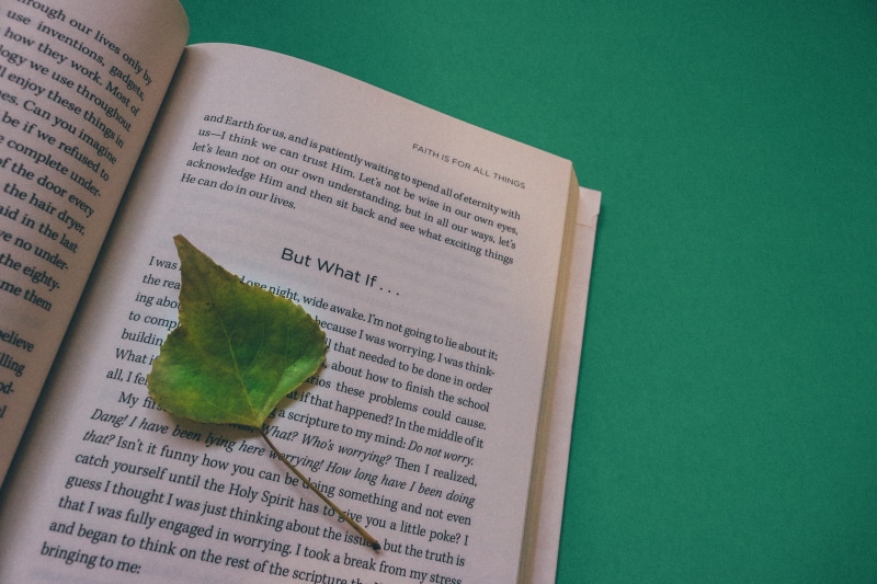 textbook, learning, communication, green color, close-up, college, high angle view, book, text, information, studio shot, school, study, leaf, publication