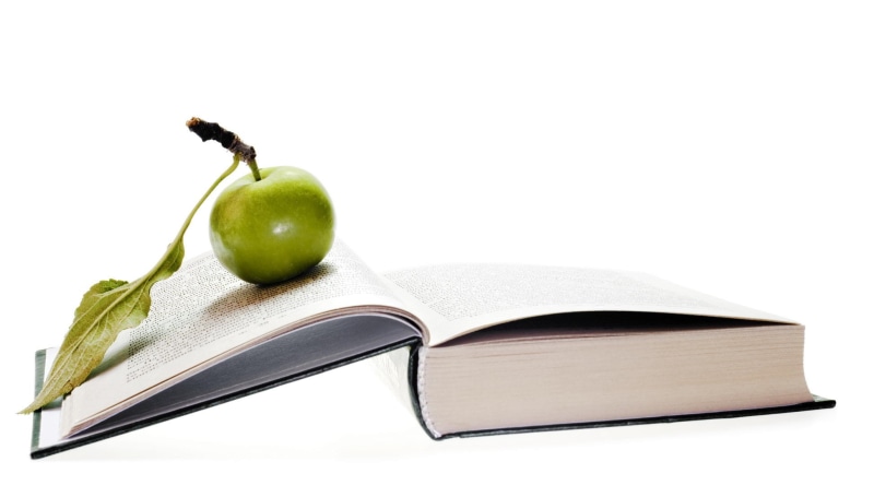 open, 1080P, fun, food, university, studio shot, cut out, apple, healthy eating, red, white, no people, fruit, stack, back, information, granny smith apple