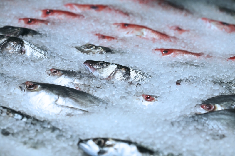 retail, water, fresh, Fish market, backgrounds, healthy eating, vertebrate, full frame, 4K, for sale, silver colored, food and drink, food, animal, freshness