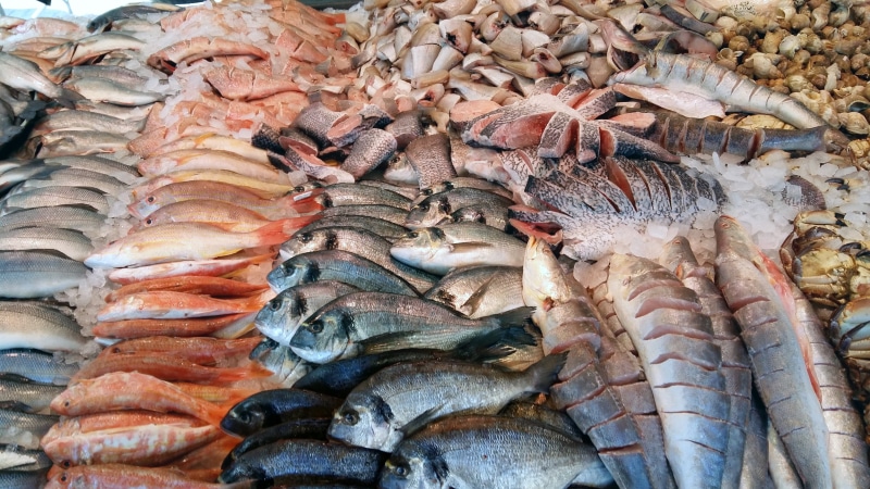 raw food, food and drink, for sale, fish market, fresh, 4K, sea, market stall, seafood, sale, fishing industry, animal, animal themes, market, retail display