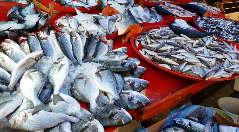 for sale, food, animal, abundance, freshness, no people, fish market, food and drink, fishing, high angle view, market, 4K, sell, fischer, raw food, farmers local market