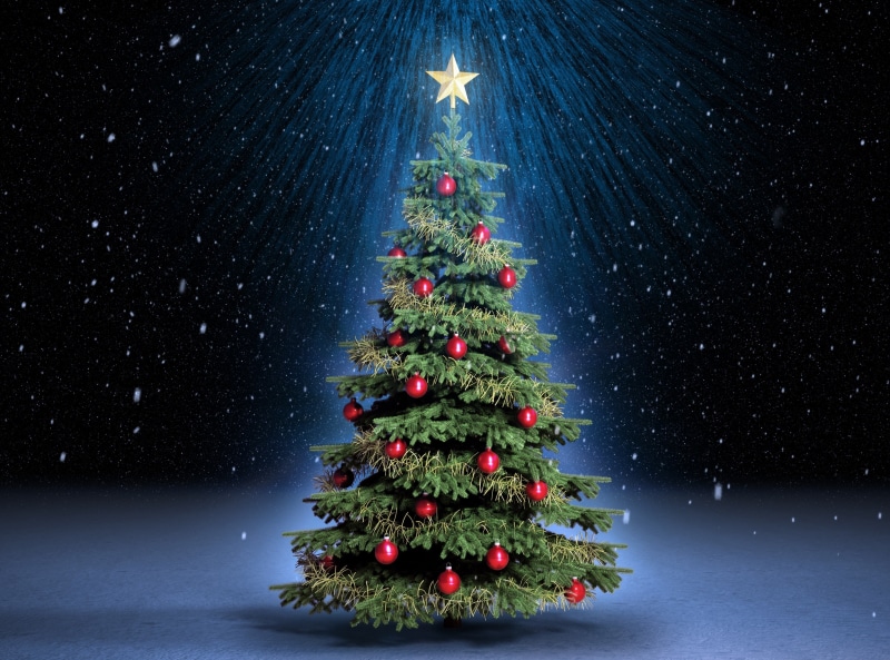 red, plant, snowing, christmas tree, blue background, astronomy, no people, Christmas, snow, decoration, star - space, Classic, fir tree, illuminated, christmas ornament