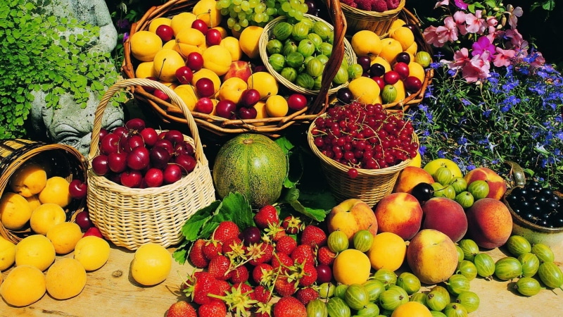 choice, food, red berries, apple, healthy eating, variety, retail, peaches, basket, strawberries, orange, citrus fruit, cherries (food), fruits, wellbeing