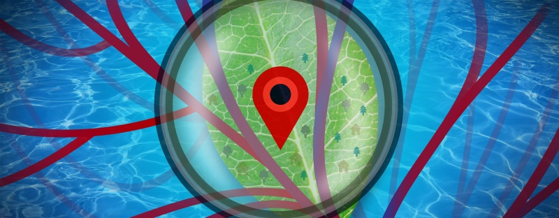 biological, clean, decorative, zoom, time, symbol, paper, high angle view, object, no people, chart, direction, analyzing, set, facts, ecological, infographics