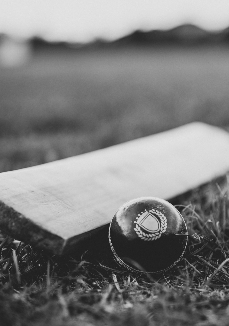 personal accessory, depth of field, 4K, grayscale, plant, land, grass, close up, growth, still life, field, photo, day, nature, Cricket field, focus on foreground