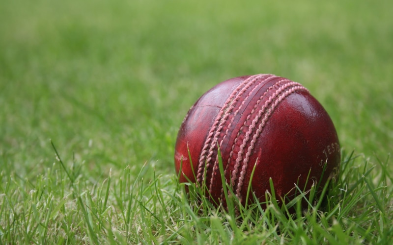 still life, brown, leather, field, grassland, nature, football, american football - ball, 2K, green color, single object, selective focus, land, Cricket