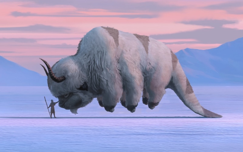 Aang (Avatar), Animal, 1080P, Avatar: The Last Airbender, Avatar (Anime)