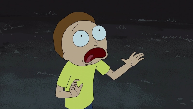 child, childhood, nature, morty, communication, holding, Rick and Morty, smith, human body part, fun, men, Adult Swim, Morty Smith, fear, cartoon, sadness