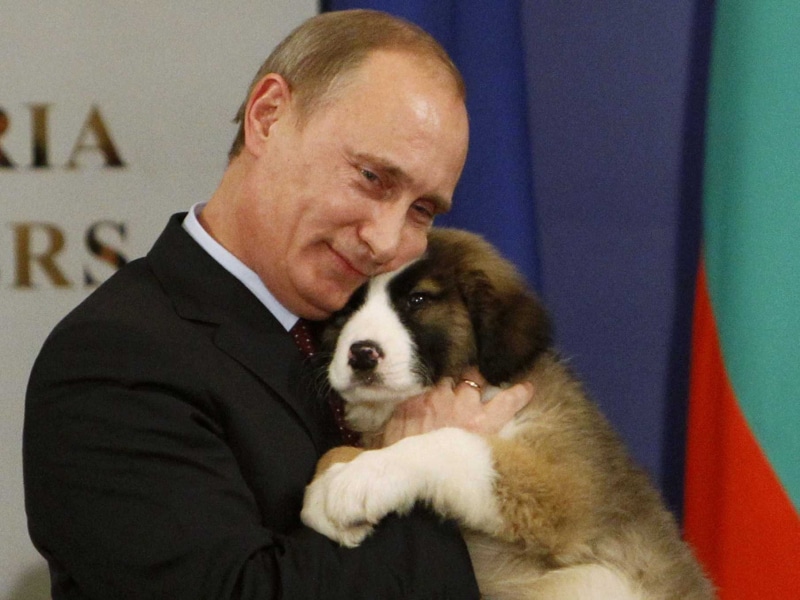 man, vladimir, russia, 720P, president, russian, men, putin