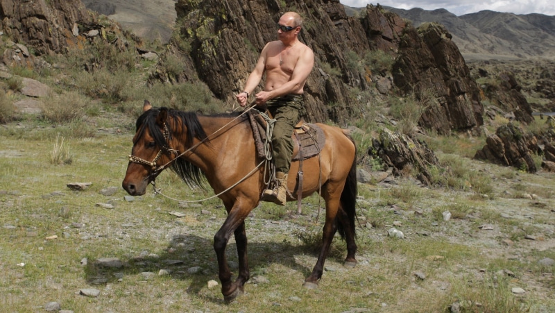 president, russian, vladimir, men, man, russia, putin, 2K