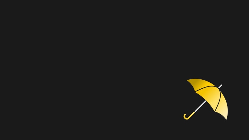 petal, flying, black background, animal wildlife, black color, vertebrate, studio shot, copy space, Barney Stinson, indoors, no people, one animal, yellow