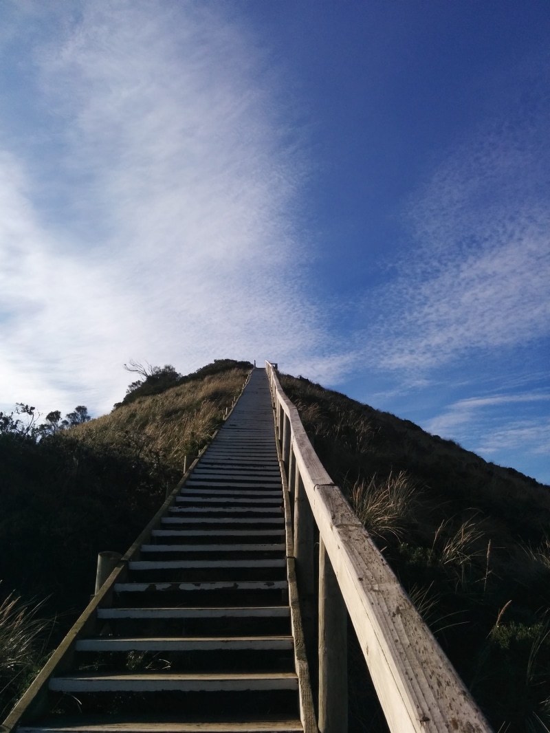 blue, achievement, direction, sky, plant, low angle view, tranquility, railing, steps, vision, nature, the way forward, 2K, dream, day, top, outdoors