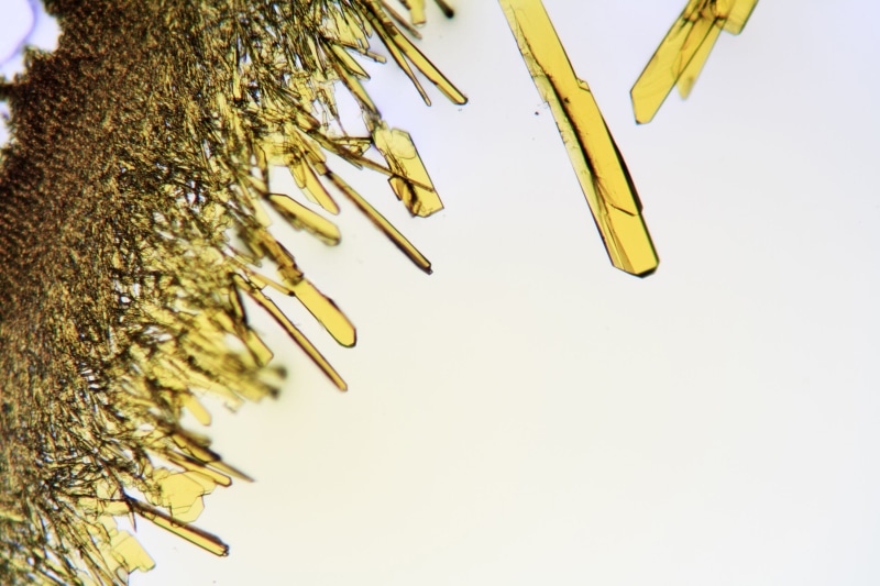 scientific, potassium, biochemistry, movement, university, freshness, large group of objects, fractures, surface, 2K, herb, background, medical, microscopic