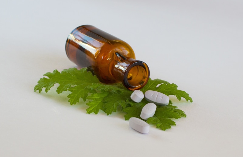 food and drink, food, herb, alternative, medicine, bottle, studio shot, health, dose, healthcare And Medicine, medical, capsule, therapy, green color, medication