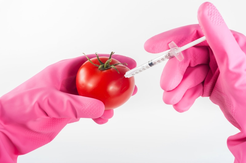 genetically, modification, protection, experiment, women, injecting, genetic Modification, white background, medicine, scientific, healthcare And Medicine