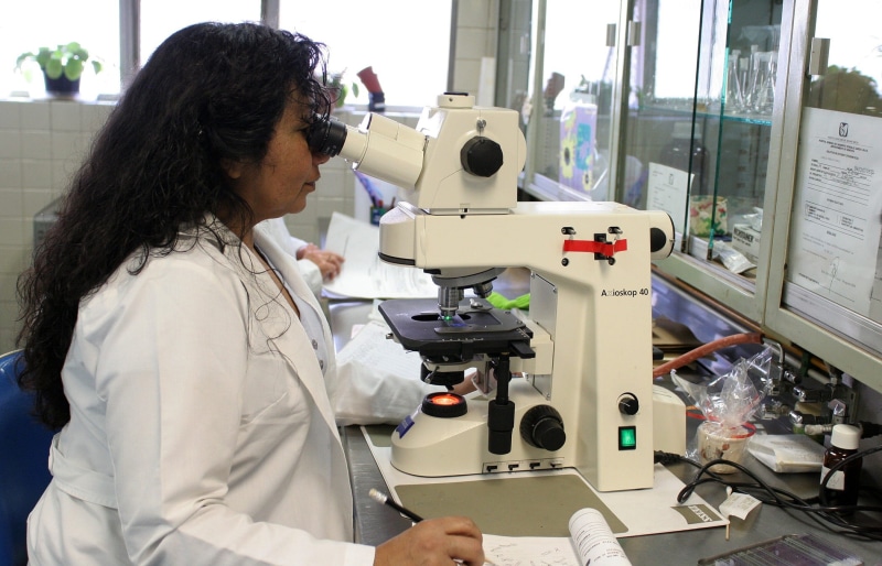 test, clothing, senior, mexico, experiment, technician, medical research, discover, professional, chemical, team, lab coat, expertise, cell, indoors, investigation
