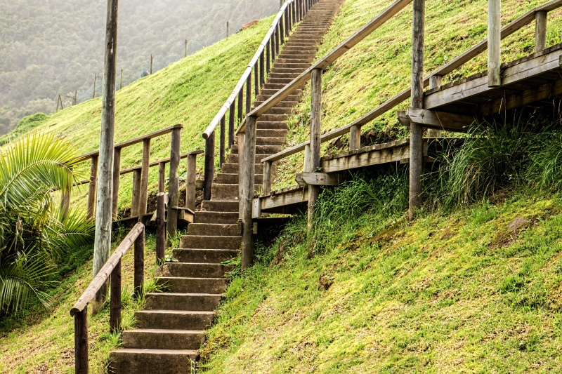 land, staircase, tree, concrete, stairs, day, no people, steps and staircases, walk, confused, choose, transportation, fork in the road, green, nature