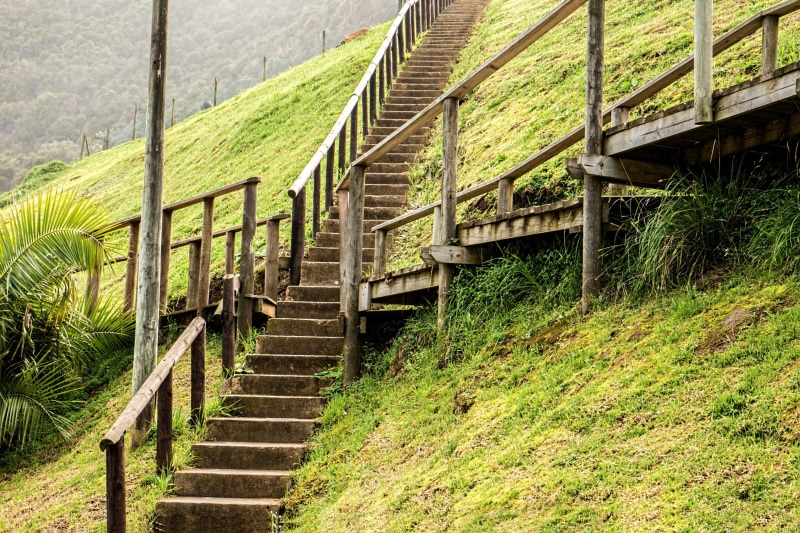 path, the way forward, decision, pathway, steps and staircases, land, indecision, architecture, confused, plant, tranquility, direction, fork, rail transportation