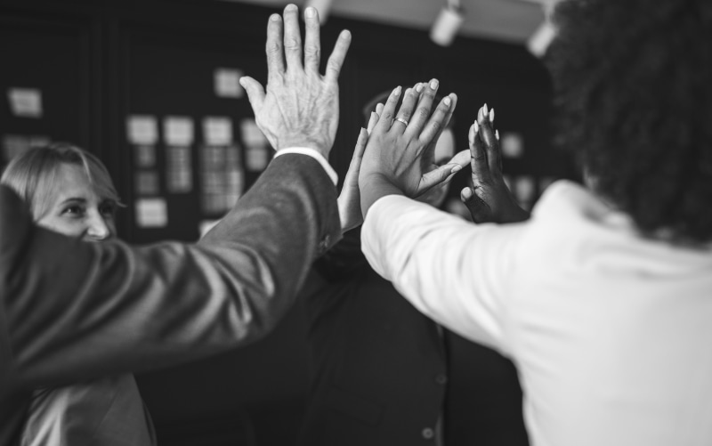 work, workplace, support, human body part, hands, indoors, teamwork, team building, hand, arms raised, corporate business, businesswoman, colleague, caucasian