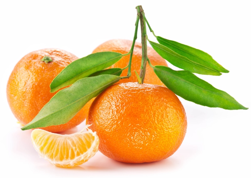food, cut out, close-up, 5K, refreshment, orange, orange Color, antioxidant, juice, snack, tangerine, nature, leaf, healthy lifestyle, ornate, vitamin